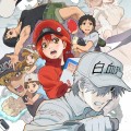 Cells at Work