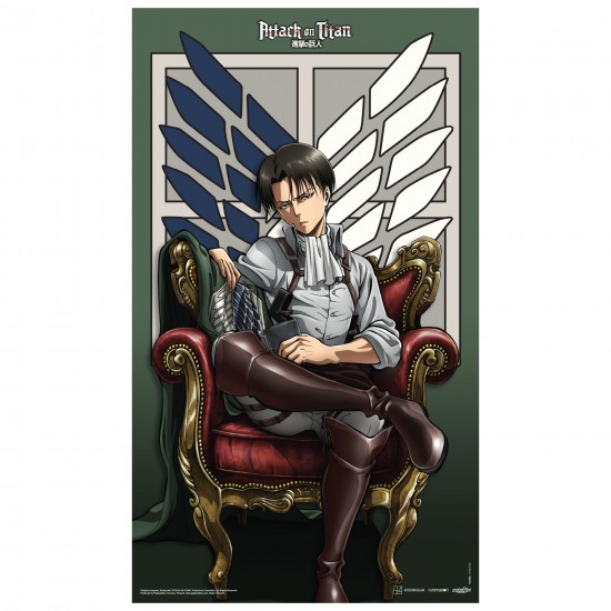 Attack on Titan Levi Fabric Poster