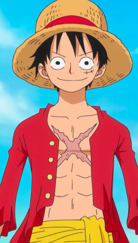 ONE PIECE MERCHANDISE